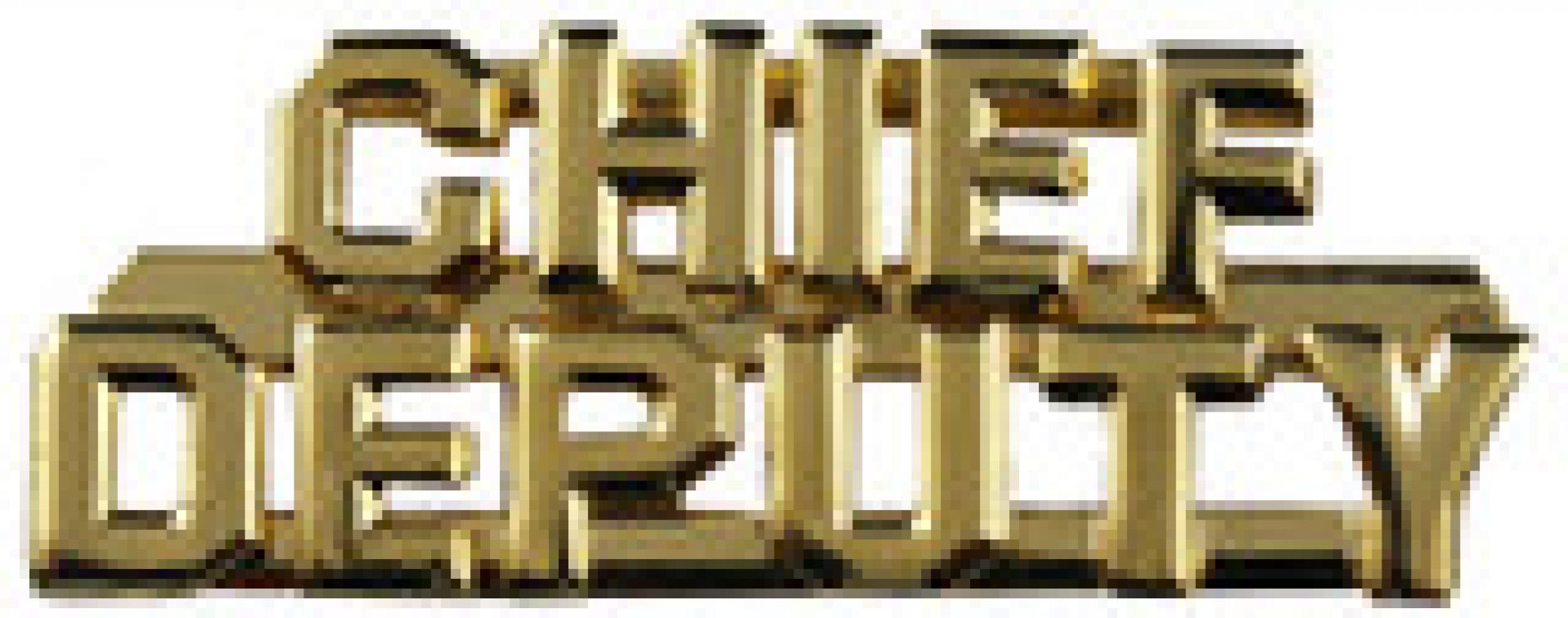 CHIEF DEPUTY COLLAR PINS 1/4" TALL - SOLD in PAIRS.